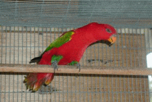 VEWECR